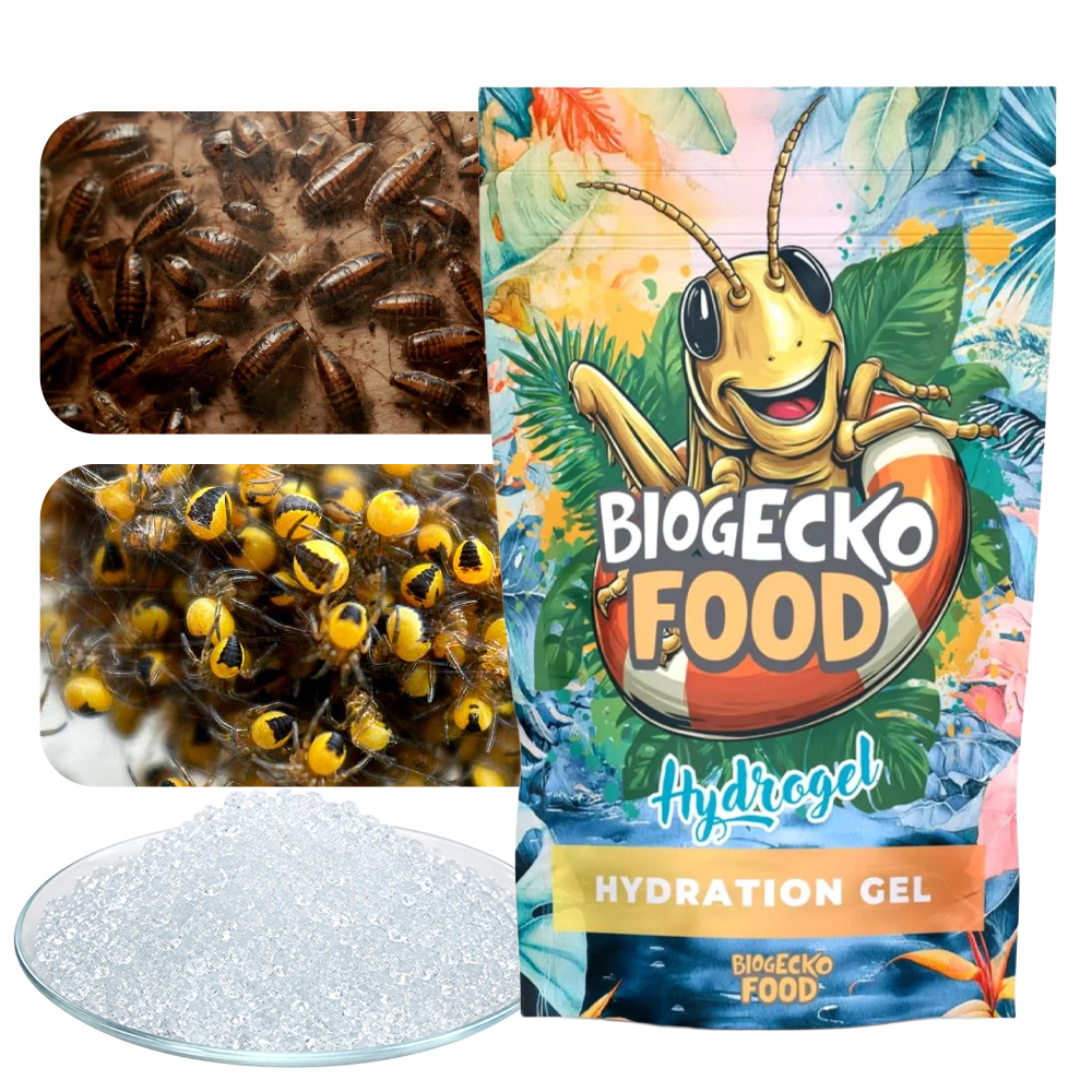 BioGecko Food Insect Hydrogel Hydrożel dla Owadów 100g